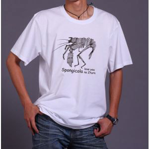 t-shirt.jpg t-shirt.jpg