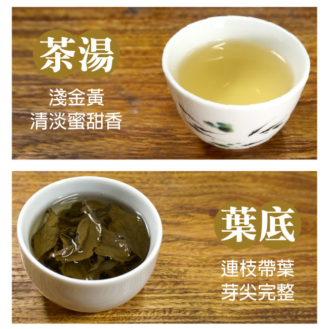 【TEAMTE】碳焙四季春青茶 (中焙火/中發酵)