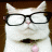 CCAT.gif 試用