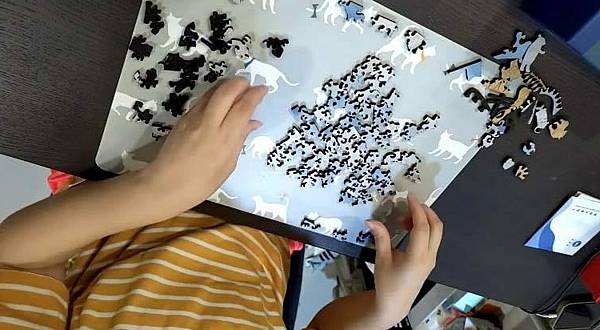 海裡魚木質拼圖-一年高山-Nov. 北大武山 海裡魚木質拼圖-一年高山-Nov. 北大武山