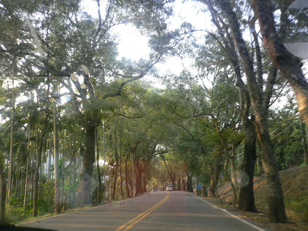 集集綠色隧道