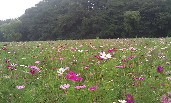 IMAG0819.jpg IMAG0819.jpg