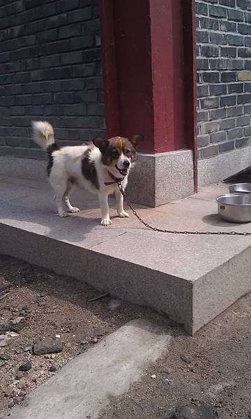 IMAG0827.jpg IMAG0827.jpg