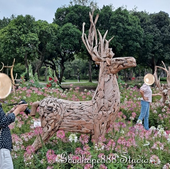 北市-(大安)大安森林公園 (6).jpg