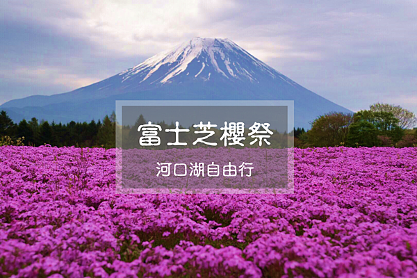 富士芝櫻.png