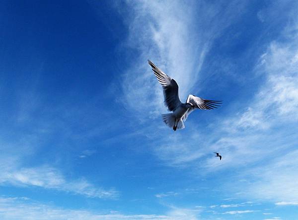 L2440442.jpg L2440442.jpg