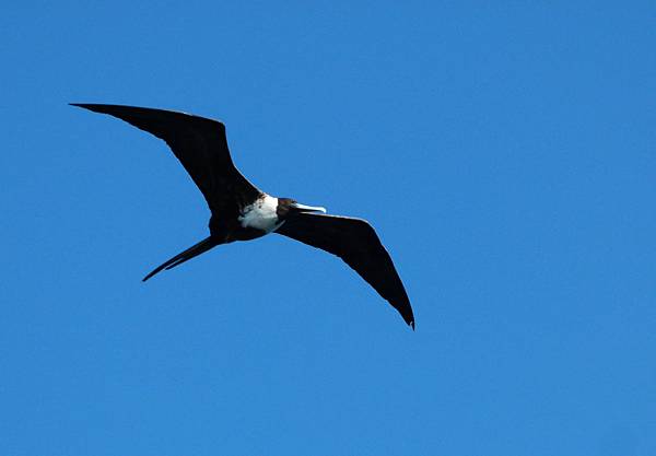 L3030608.jpg L3030608.jpg