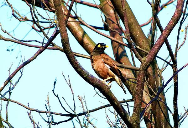 L3730533.jpg L3730533.jpg