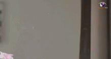 005BHiDDgw1et2xqipmlng3062039nph.gif