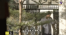 005BHiDDgw1et2y2e6c4hg30620394qt.gif