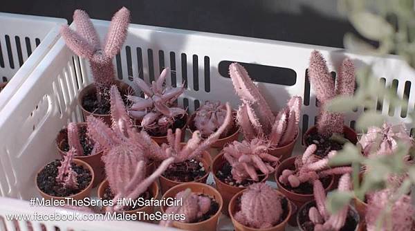 12009662_1506639456313655_3708988231269739347_n.jpg 12009662_1506639456313655_3708988231269739347_n.jpg