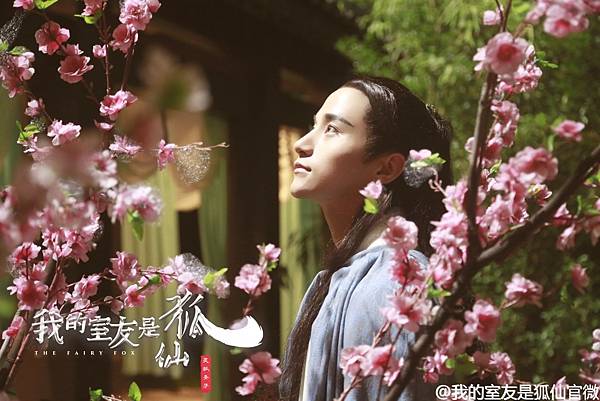 靈狐聖子 靈狐聖子