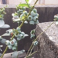 20140330_085756.jpg