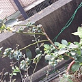 20140330_085804.jpg