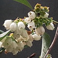 20140330_085636.jpg