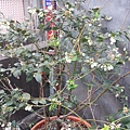 20140330_085027.jpg