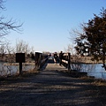 2009sandhill crane 033.jpg