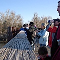 2009sandhill crane 041.jpg