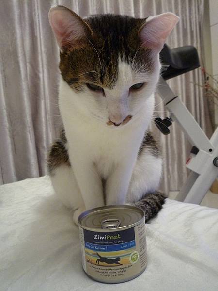 1455902985155.jpg 1455902985155.jpg