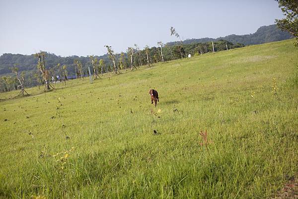 福德坑保育公園002.jpg