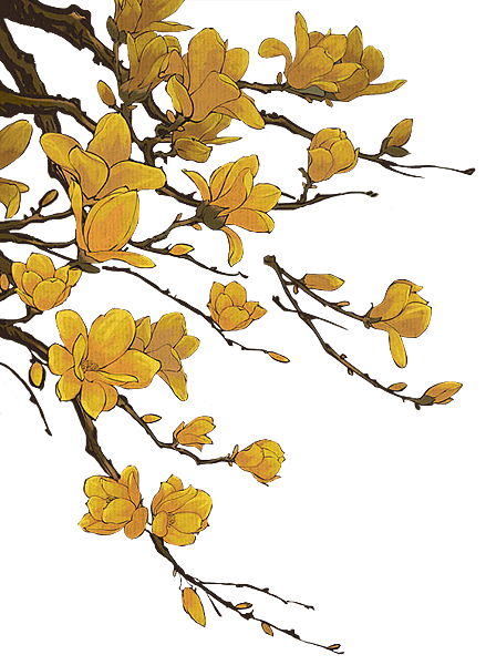 20150121162022_FAAL2