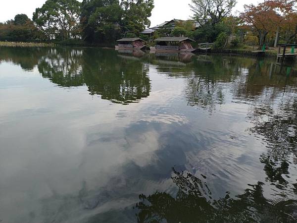 175484.jpg 175484.jpg