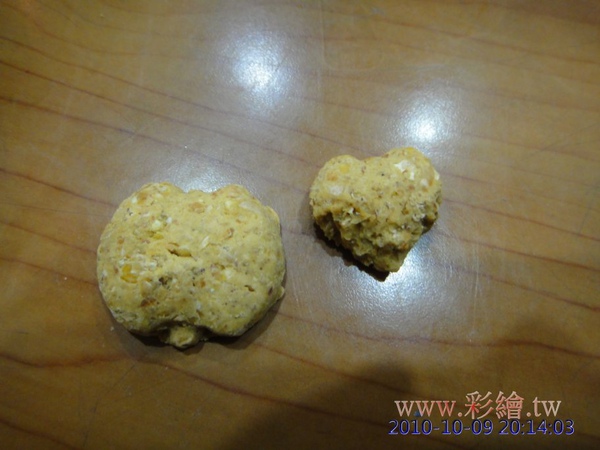 蜜袋鼯 錢多多創作