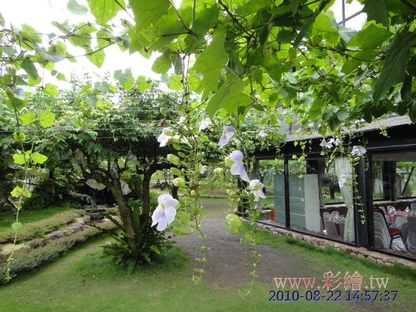 玻璃屋