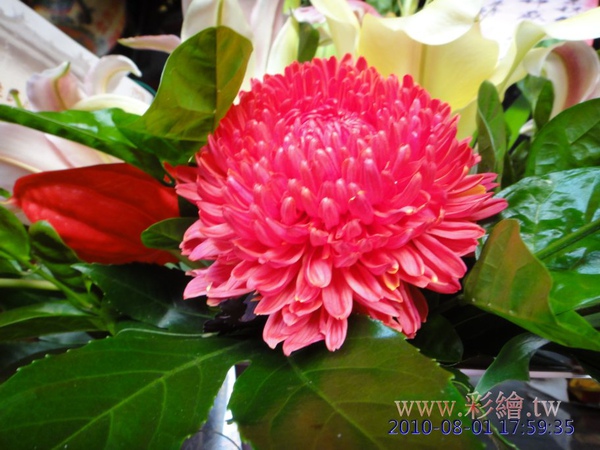 供花