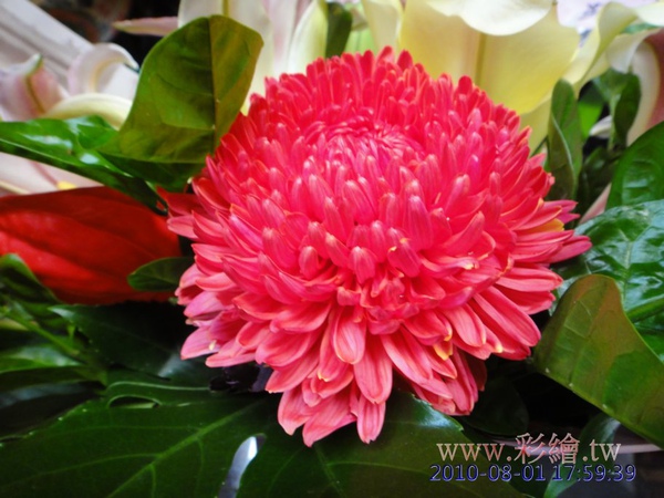 供花