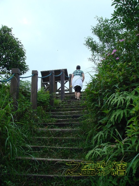 DSC04718.jpg