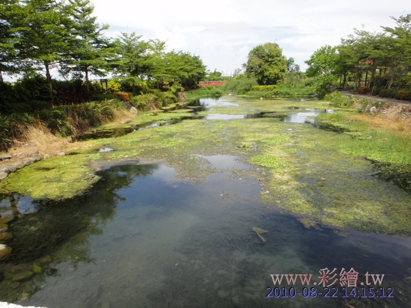 柯林湧泉生態圳路