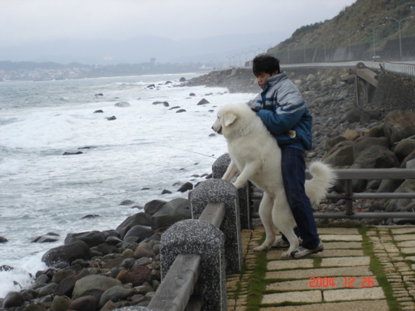 我好想我老家...法國批里牛斯山