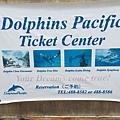 帛琉太平洋海豚灣-售票中心