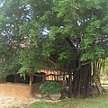 Kalu's hideaway2.jpg