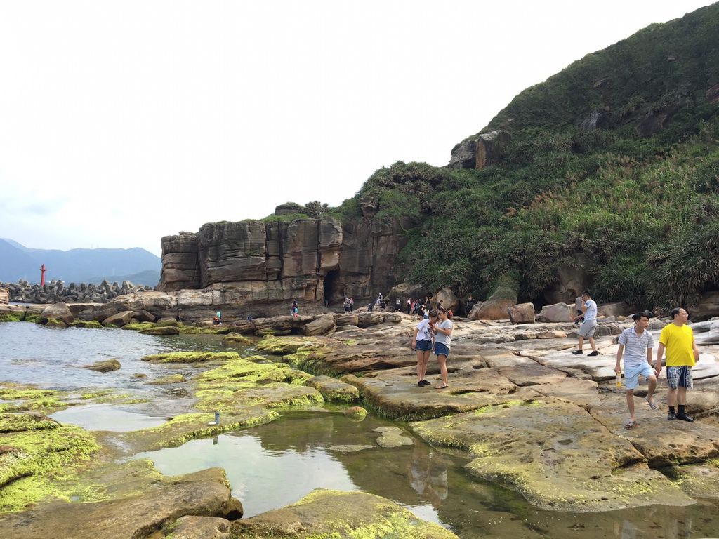 20180519上山下海樂遊遊繡球花_180520_0150.jpg