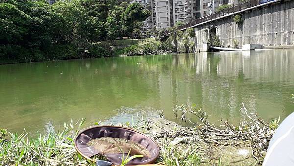 001-20180630南港公園釣魚_180701_0014.jpg