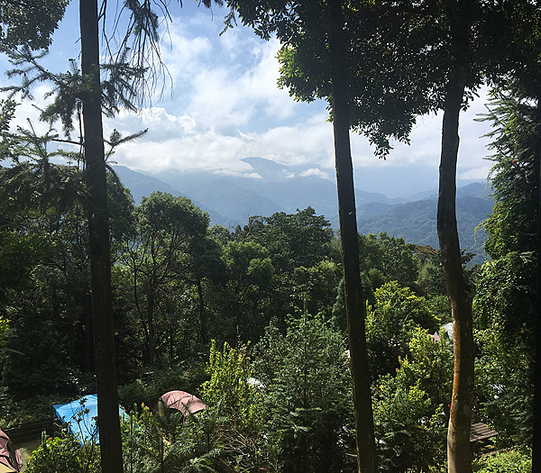 【新竹 營地】絕美高山雲海景觀 「綠雲海露營區」還有多處小孩
