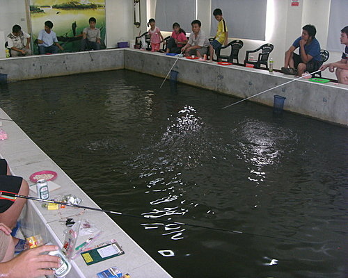 雲林釣蝦場 全台灣釣蝦場地點分佈推薦介紹休閒育樂老少咸宜全民釣蝦活動 點典生活tendercarelife 痞客邦