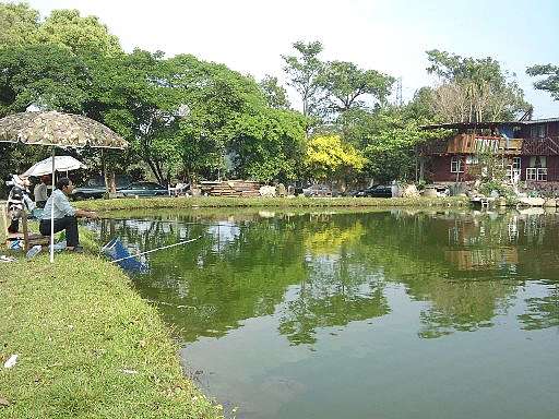 彙整嘉義釣魚池推薦 釣魚池評價 釣魚池分佈 休閒魚池 職業池 管裡魚池懶人包 點典生活tendercarelife 痞客邦