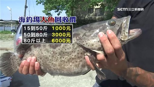 高雄海釣場推薦彙整與海釣場評價 點典生活tendercarelife 痞客邦