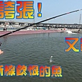 新竹海釣場.jpg