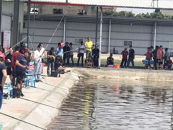 桃園海釣場推薦彙整與海釣場評價 點典生活tendercarelife 痞客邦