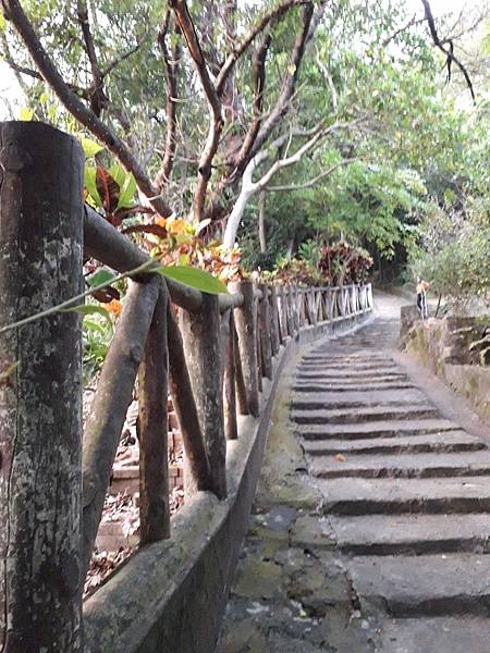 忠義山親山環狀線步道推薦 捷運忠義站 登山健行 老少咸宜 交通方便 輕鬆愉快_191113_0503.jpg