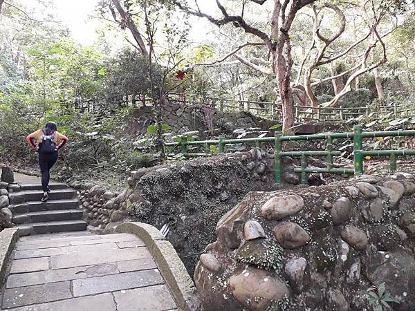 忠義山親山環狀線步道推薦 捷運忠義站 登山健行 老少咸宜 交通方便 輕鬆愉快_191113_0509.jpg