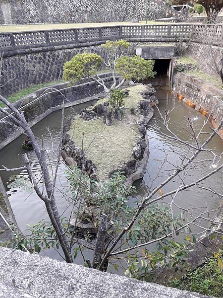 忠義山親山環狀線步道推薦 捷運忠義站 登山健行 老少咸宜 交通方便 輕鬆愉快_191113_0511.jpg