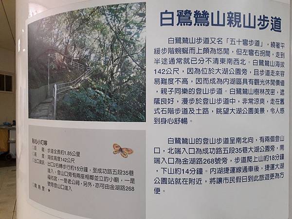 大湖公園親子免費戶外活動休閒推薦 近捷運大湖公園站 落羽松美景湖景出站就看到_191114_0_17.jpg