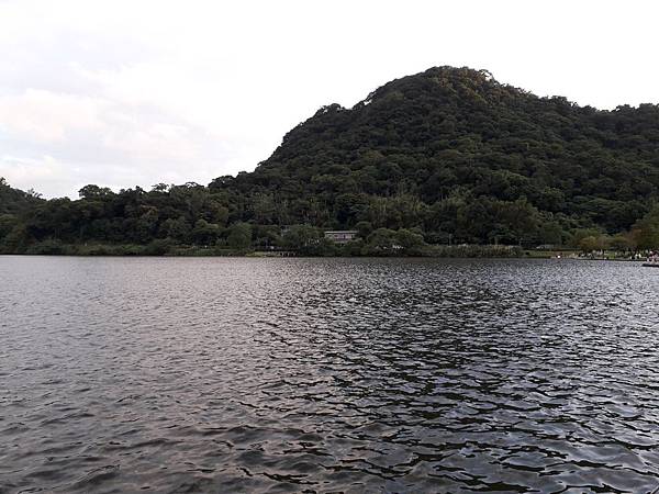 大湖公園親子免費戶外活動休閒推薦 近捷運大湖公園站 落羽松美景湖景出站就看到_191114_0_9.jpg