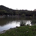 大湖公園親子免費戶外活動休閒推薦 近捷運大湖公園站 落羽松美景湖景出站就看到_191114_0_8.jpg