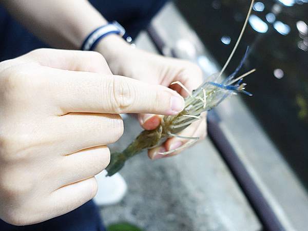 20191115_蘭楊蟹莊 雪山泰國蝦 蘭陽船菜 親子同遊推薦 釣蝦 烤蝦16.jpg